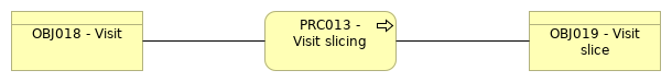 VIEW013 - Visit Slicing Process 